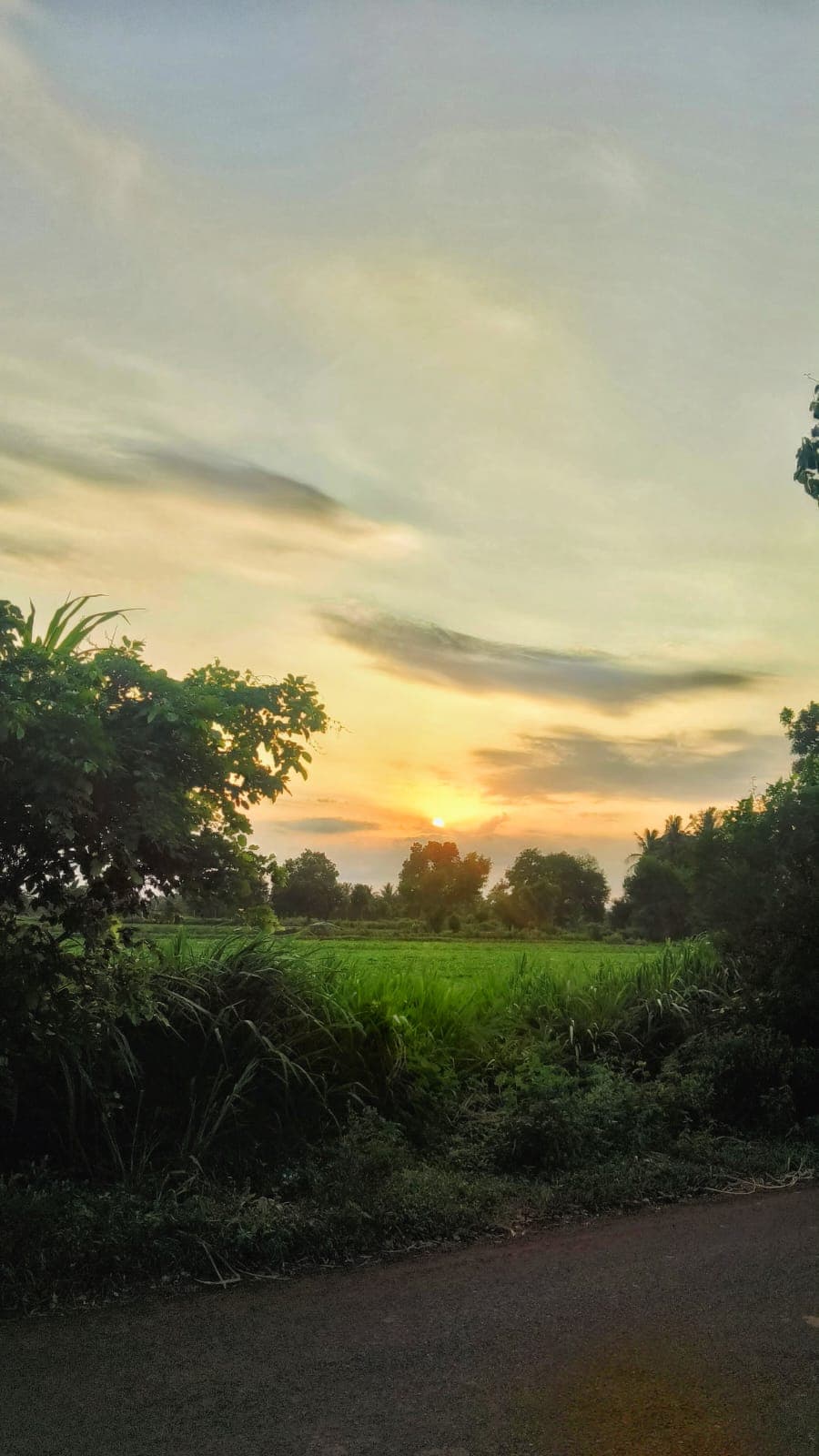 Scenic sunset over green countryside fields